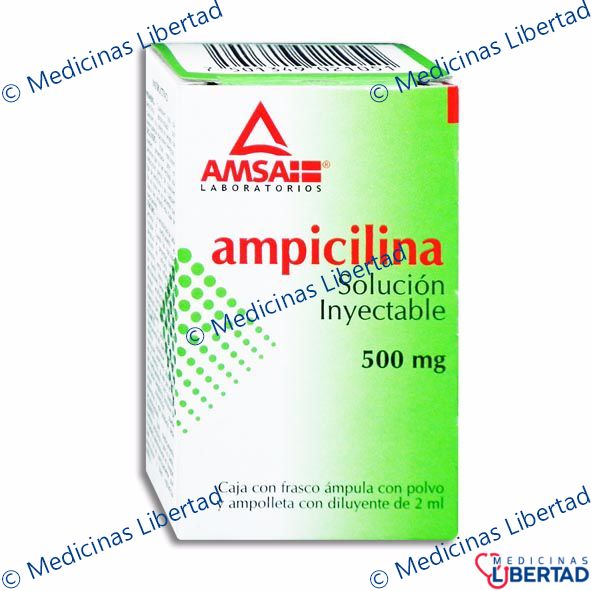 AMPICILINA 500MG AMSA - Solucion Inyectable - c/1