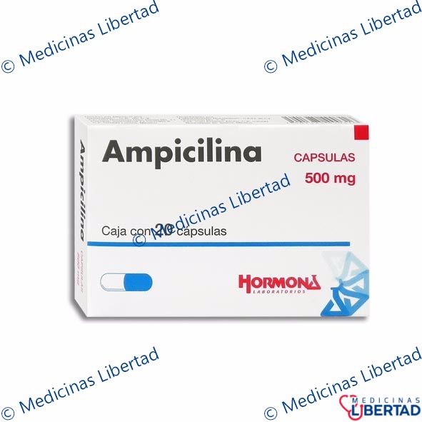 AMPICILINA 500MG HORMONA Capsulas c/20