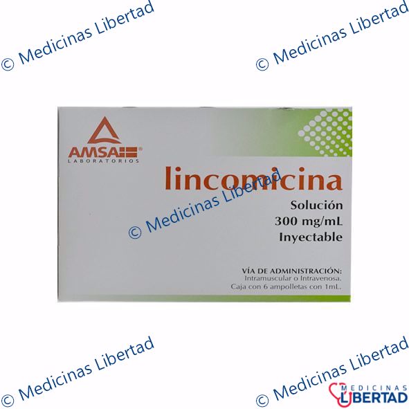 LINCOMICINA 300 AMSA - Solucion Inyectable - c/6