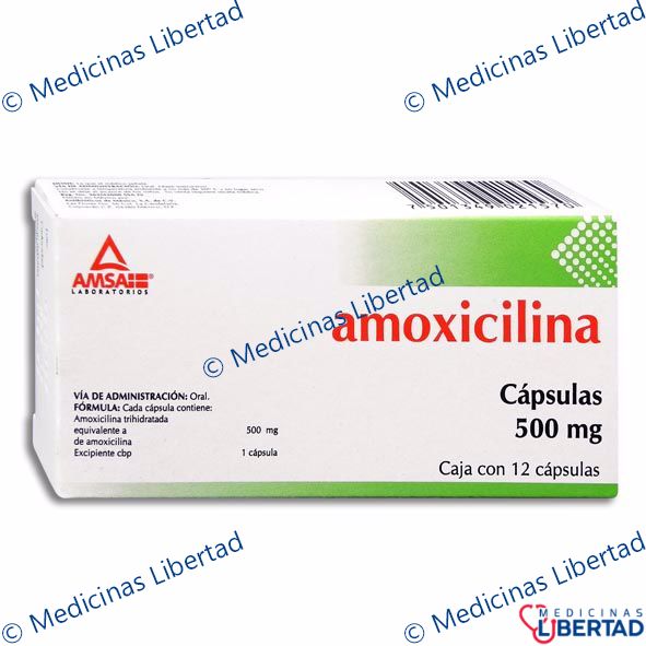 AMOXICILINA 500MG AMSA - Capsulas - c/12