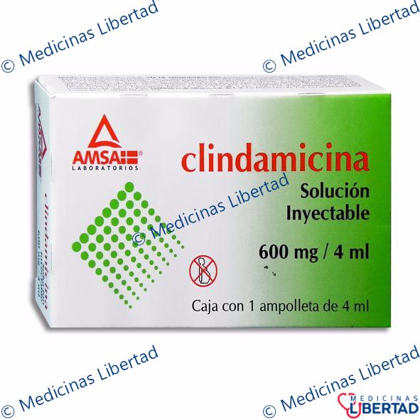 CLINDAMICINA 600 MG AMSA - Solucion Inyectable - c/1