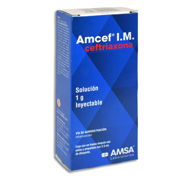 AMCEF 1GR IM SOLUCION INY  C/1 3.5ML