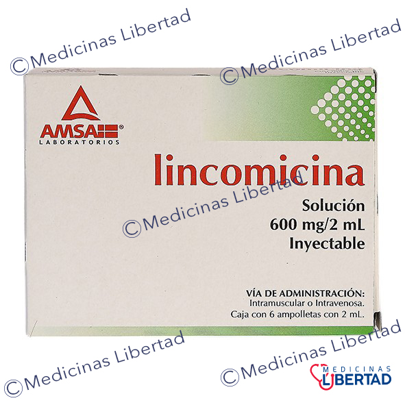 LINCOMICINA 600 AMSA - Solucion Inyectable - c/6