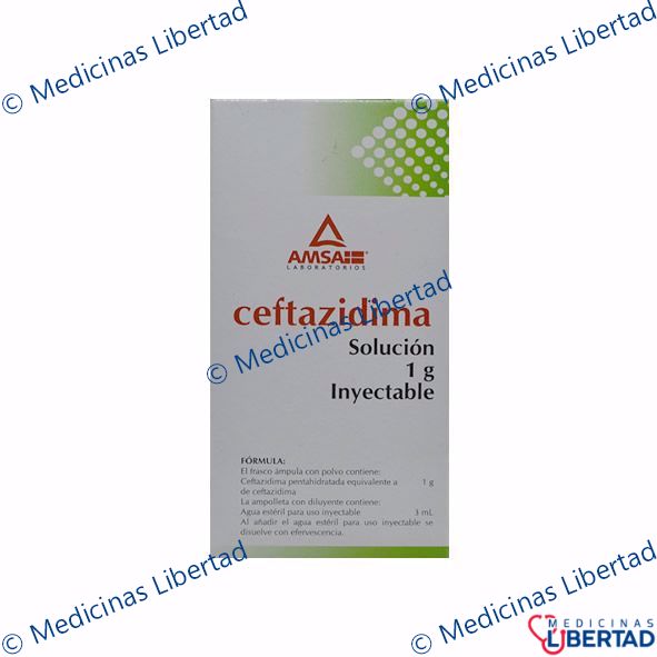 CEFTAZIDIMA AMSA 1G Solucion Inyectable c/1