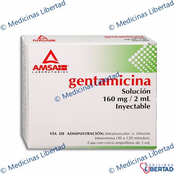 GENTAMICINA 160 MG AMSA Solucion Inyectable c/5