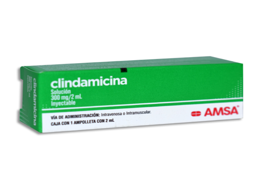 CLINDAMICINA 300 MG AMSA - Solucion Inyectable - c/1