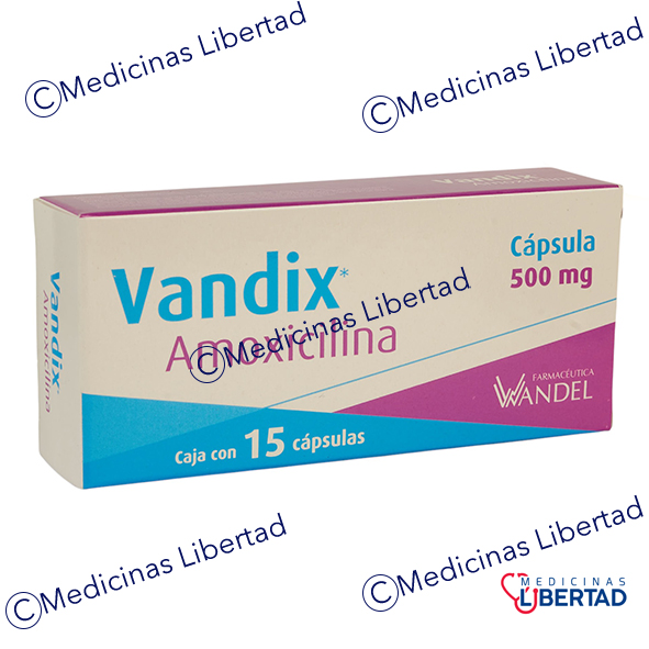 VANDIX AMOXICILINA 500 MG C/15 CAPSULAS 