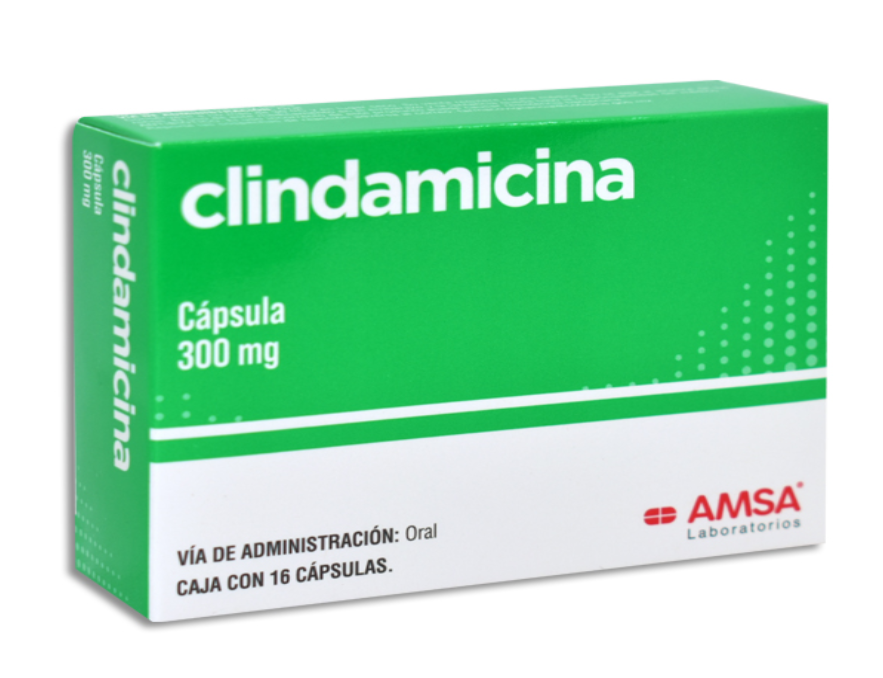 CLINDAMICINA 300MG AMSA Capsulas c/16