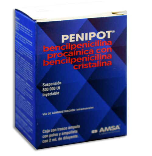 [7501349011175] PENIPOT 800,000 IU - Solucion Inyectable - c/1